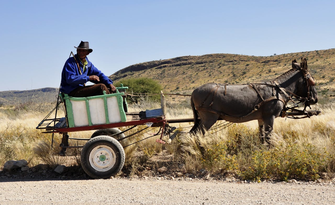 africa-namibia-bauer-wagon-68180-68180.jpg